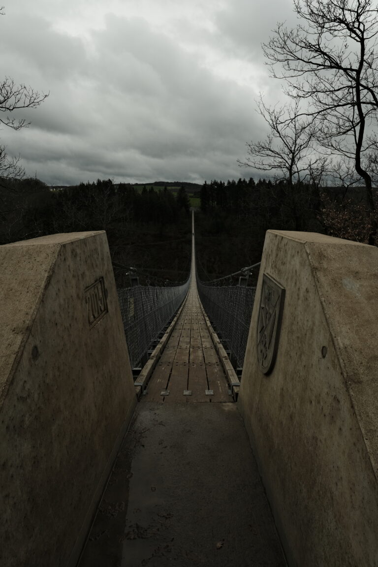 _DSF1894