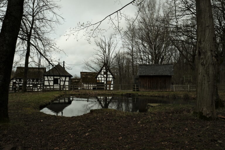_DSF1935