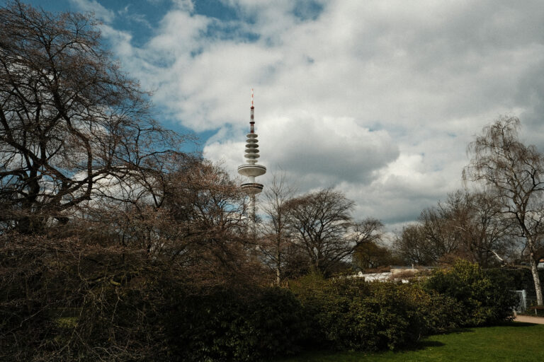 _DSF2031