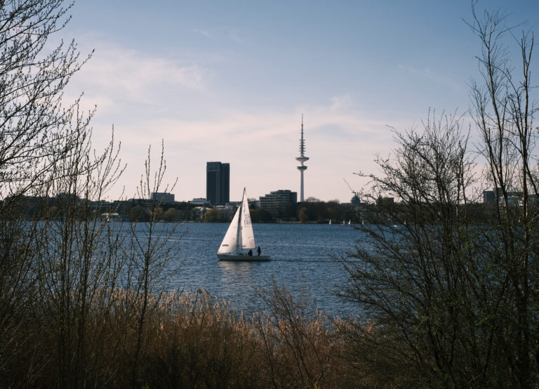 _DSF2101