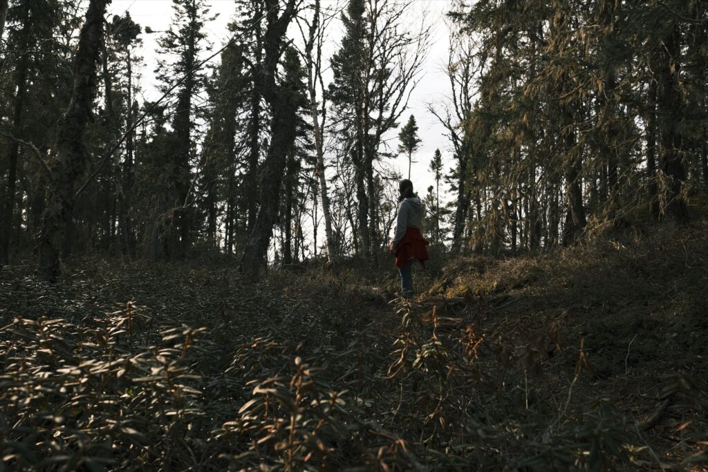 a_Pukaskwa_DSF2859