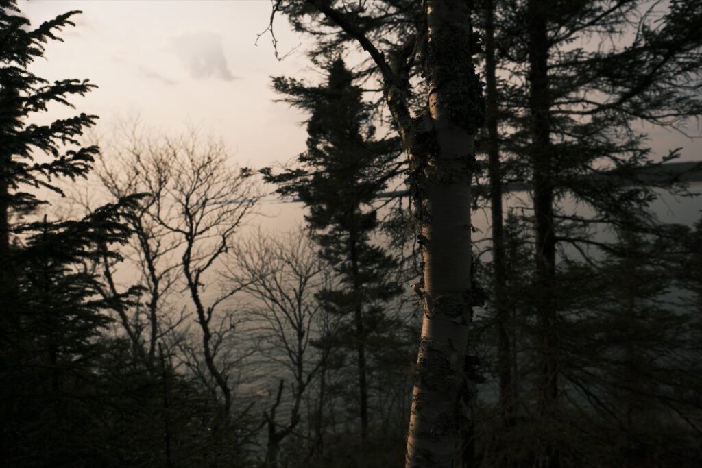a_Pukaskwa_DSF2884