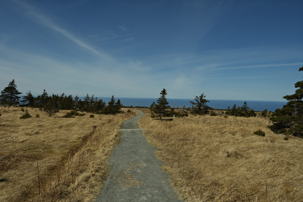a_cape1