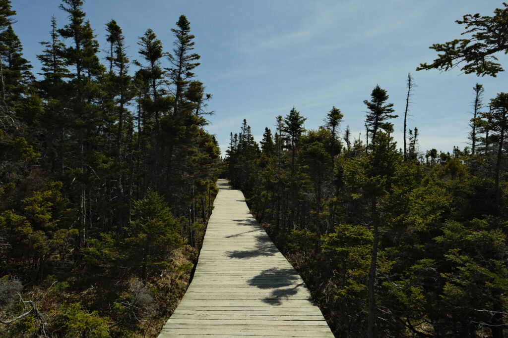 a_cape4