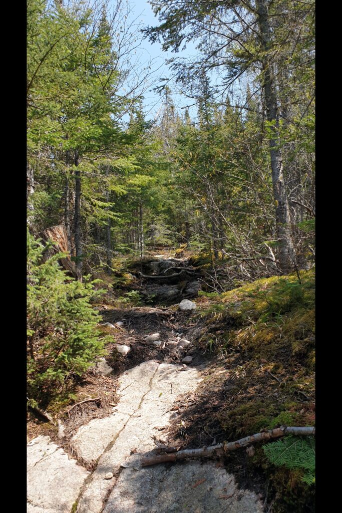c_RainbowFalls20230526_140640