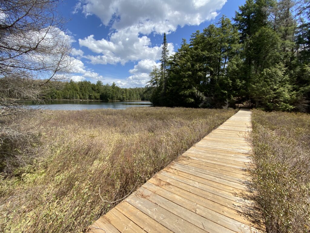 e_algonquin2