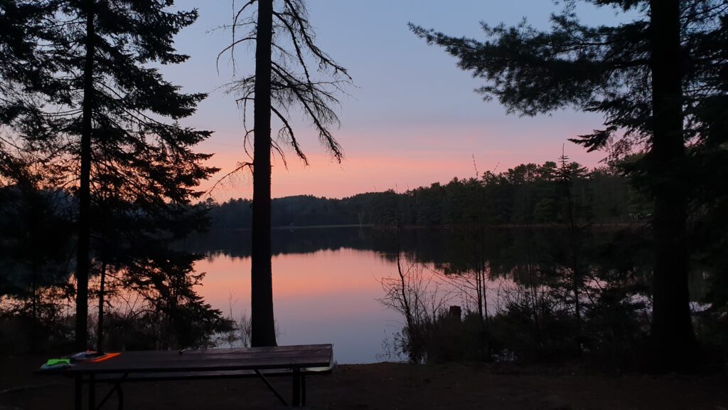 e_algonquin6