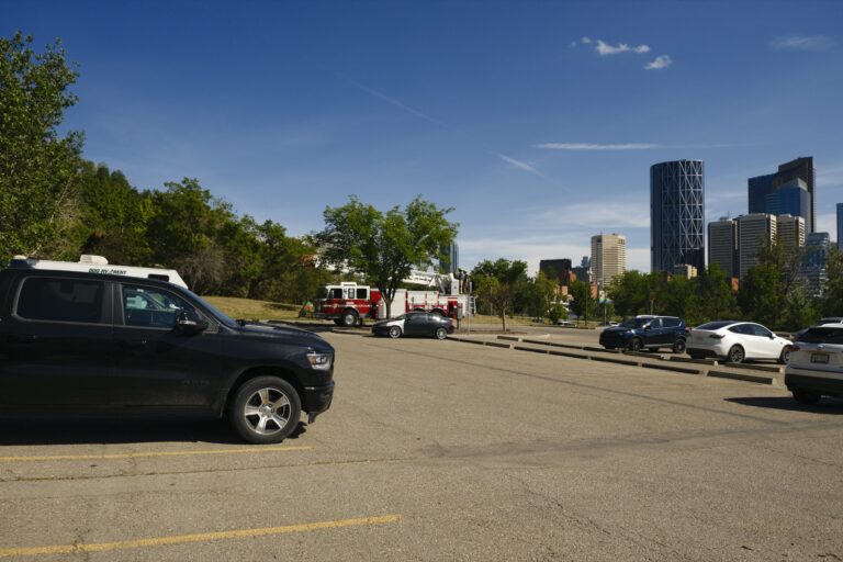 a_Calgary__DSF3001