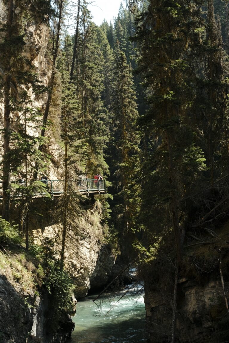 b_Banff__DSF3028