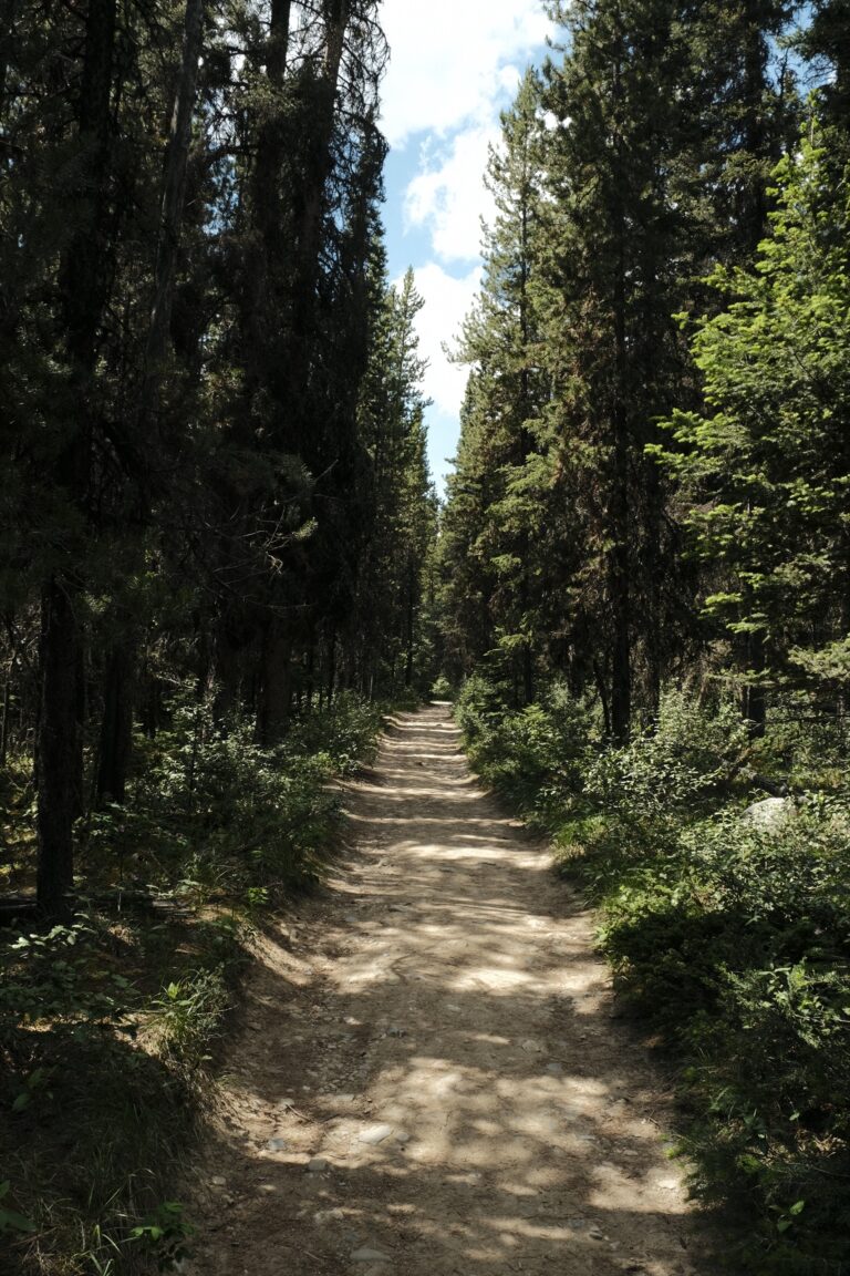 b_Banff__DSF3049