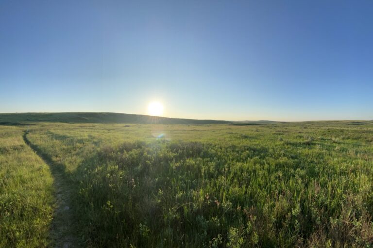 c_Grasslands_IMG_3882