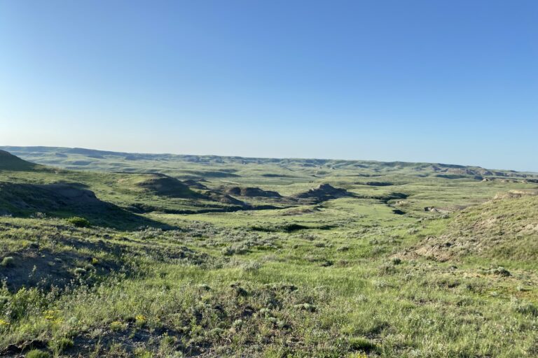 c_Grasslands_IMG_3897