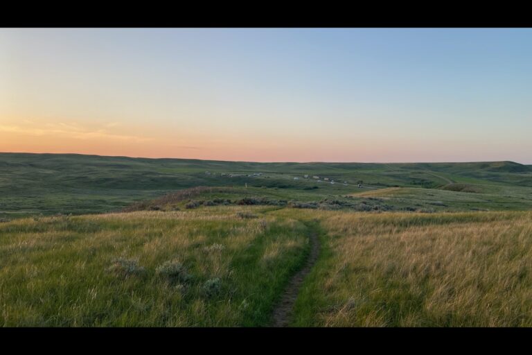 c_Grasslands_LVOO5512