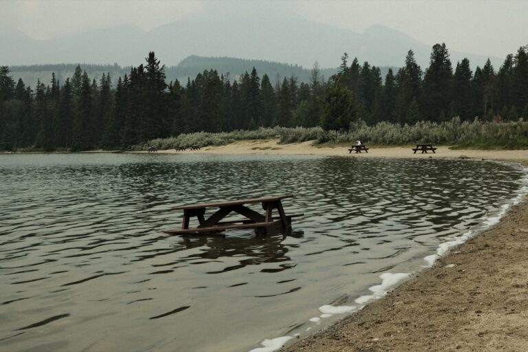 c_Jasper__DSF3102