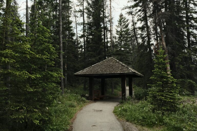 c_Jasper__DSF3118