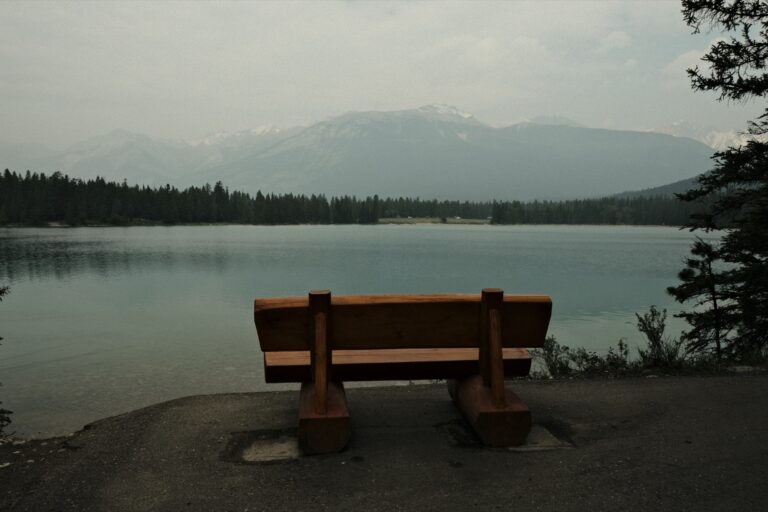 c_Jasper__DSF3119