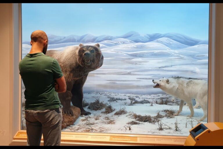 c_Whitehorse20230625_111225