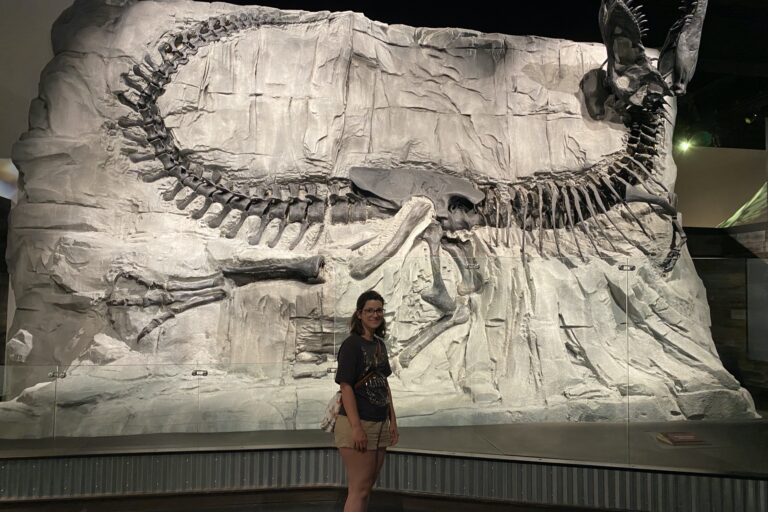 d_dinosaur_IMG_3974