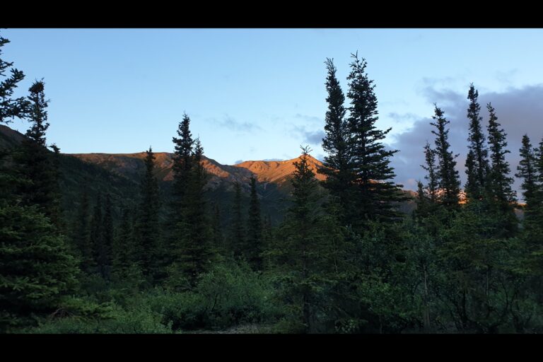 b_denali20230706_232852