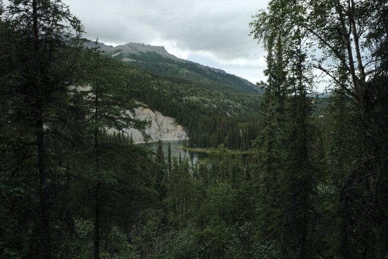 b_denali_DSF3269