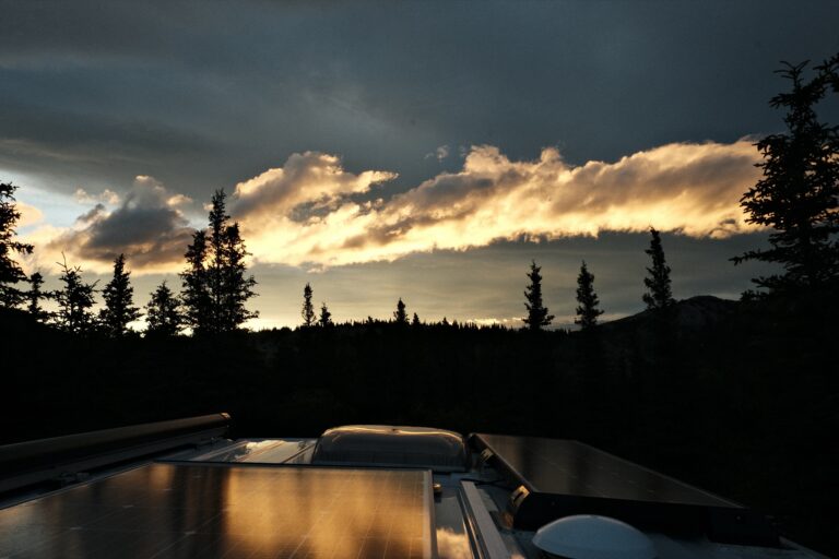 b_denali_DSF3313
