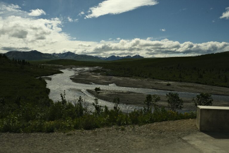b_denali_DSF3337