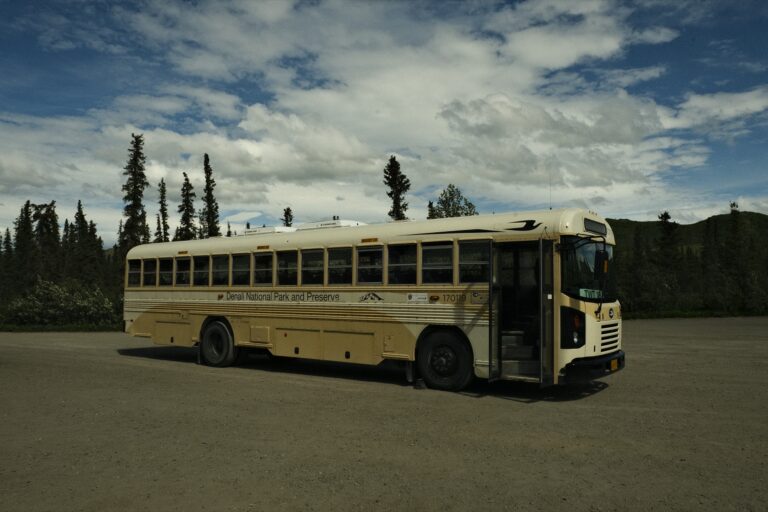 b_denali_DSF3340