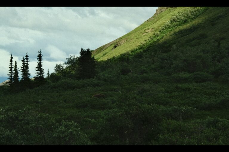 b_denali_DSF3350