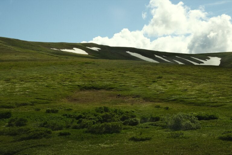 b_denali_DSF3360