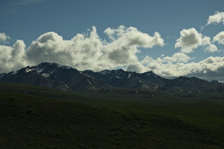 b_denali_DSF3367