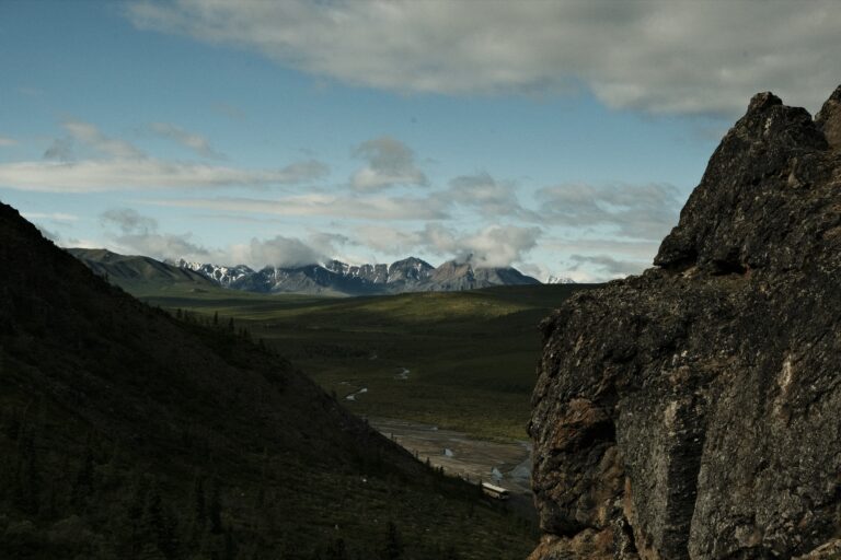 b_denali_DSF3400