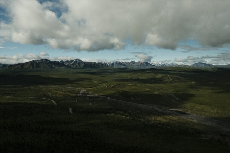 b_denali_DSF3404