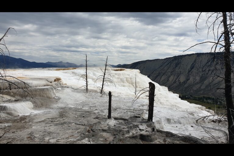 b_mammoth20230724_113110