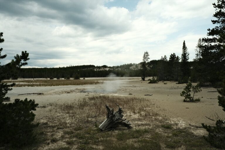 c_norris__DSF3965