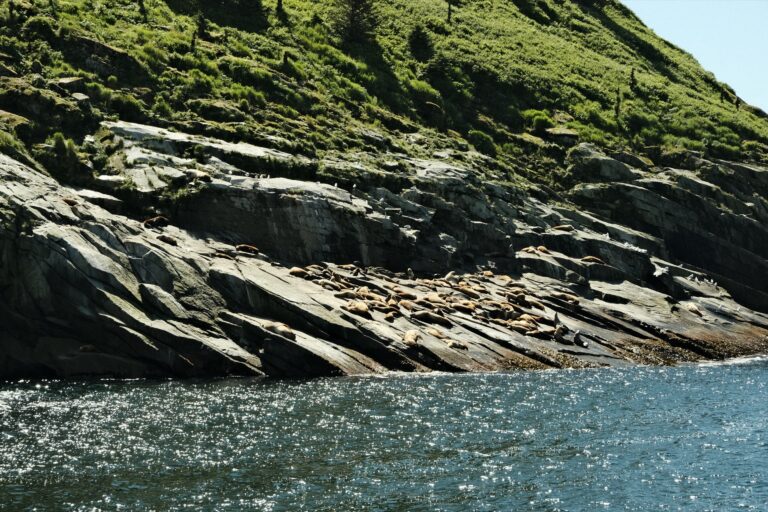 c_seward_DSF3563