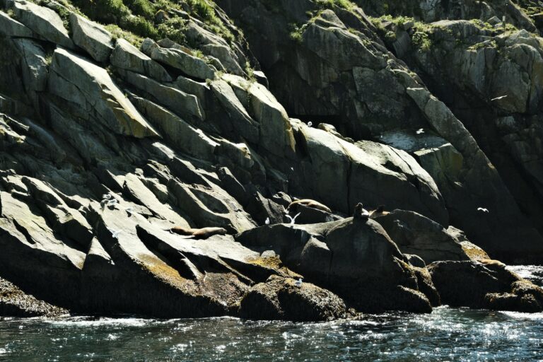 c_seward_DSF3574