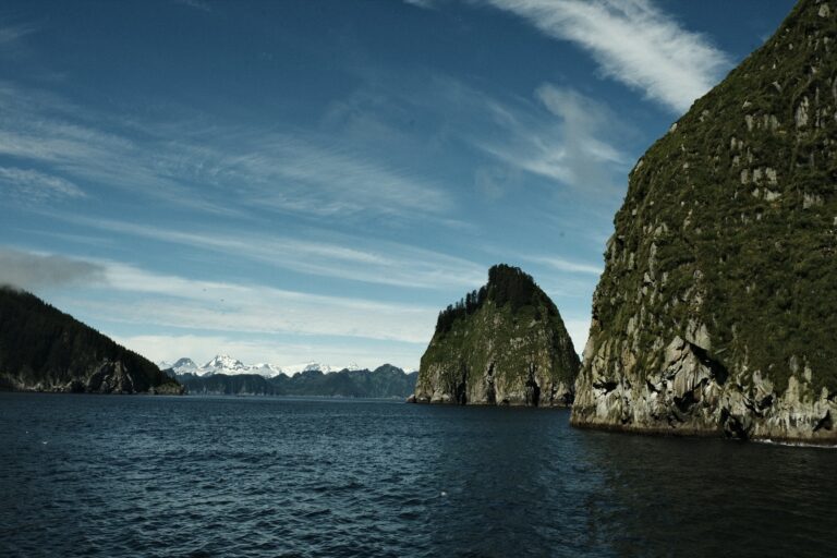 c_seward_DSF3579