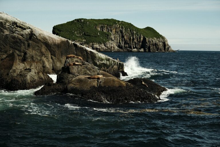 c_seward_DSF3585