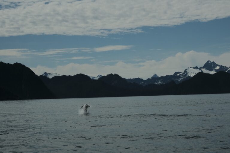 c_seward_DSF3677