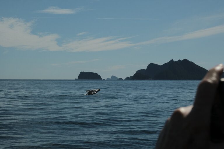 c_seward_DSF3735