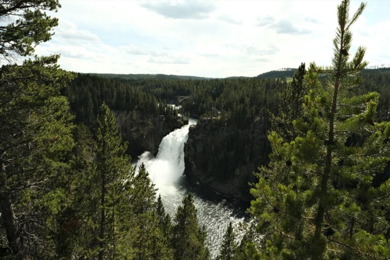 g_grandcanyYS__DSF4178