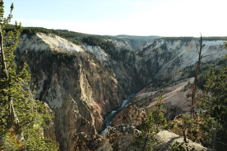 g_grandcanyYS__DSF4209