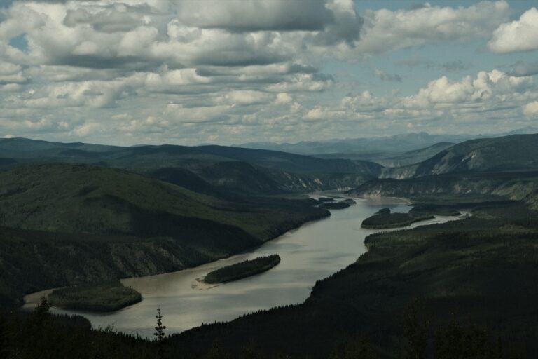 z_dawson_DSF3246
