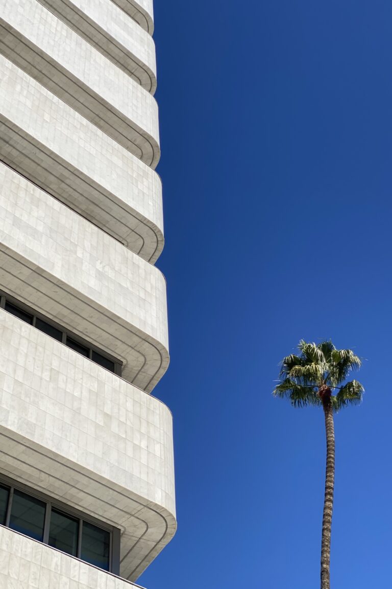 a_LA_IMG_5562