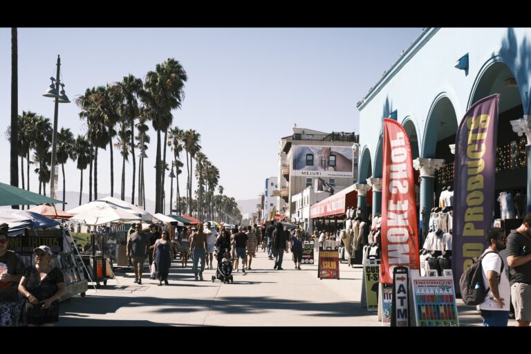 a_LA__DSF4835