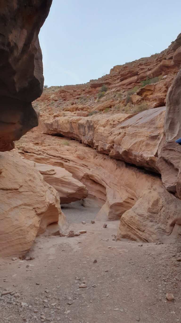 a_Littlewildhorse_20230730_073532