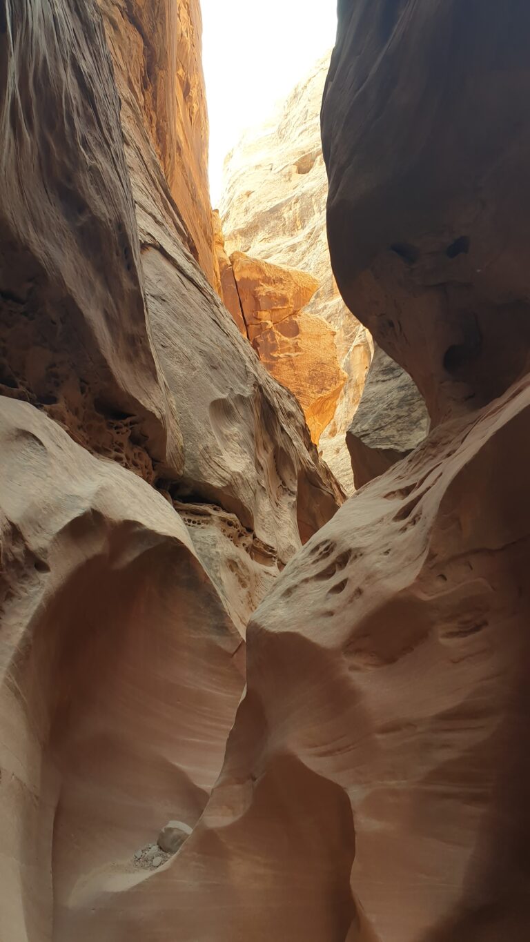 a_Littlewildhorse_20230730_081322