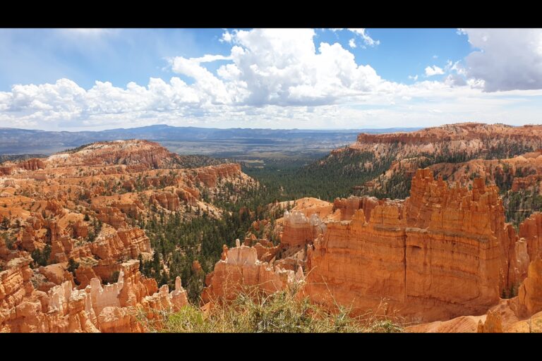 a_bryce_20230811_122442