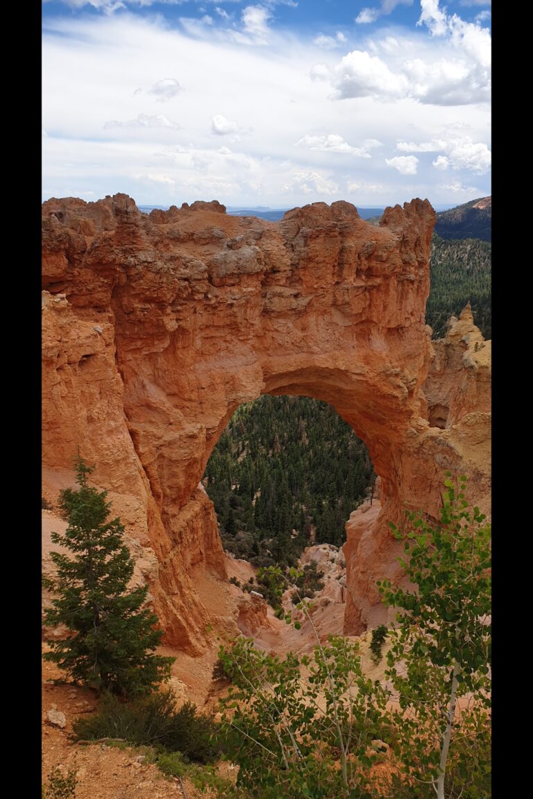a_bryce_20230811_124932