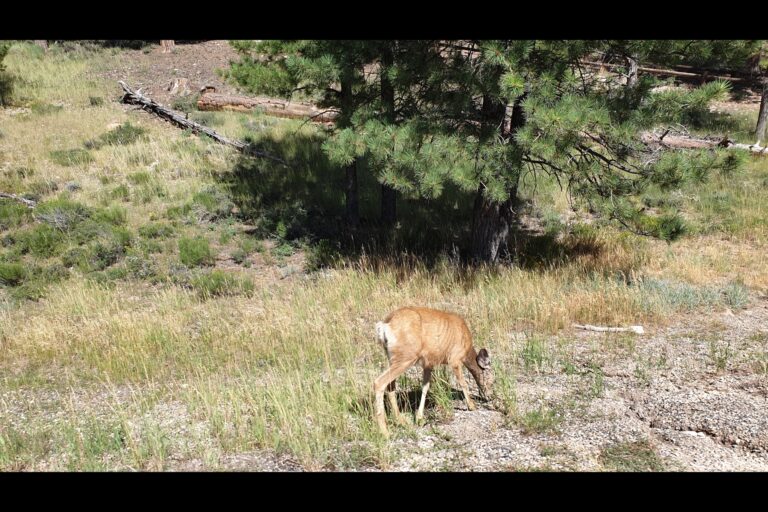 a_bryce_20230811_154252
